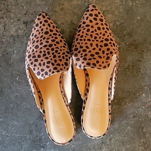 Leopard Loft dress flats
